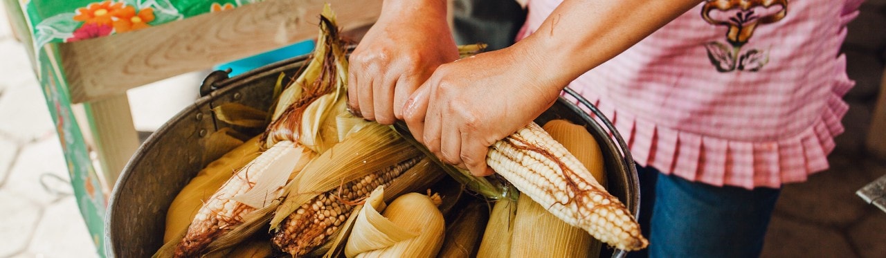 Comida en la calle: guía para que tus platillos sean seguros